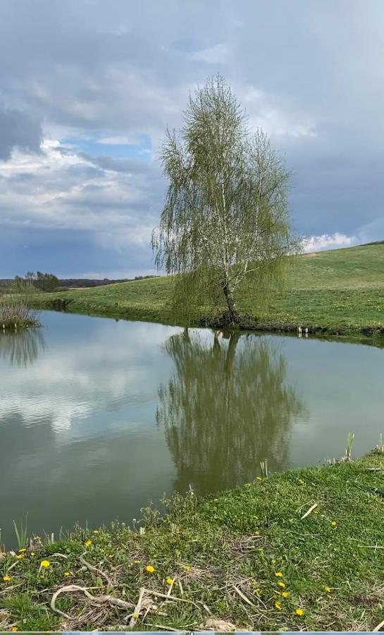 Agroturystyka Nad Jeziorem Silickim Ilinscy Silice Kültér fotó