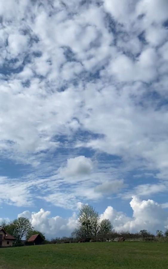 Agroturystyka Nad Jeziorem Silickim Ilinscy Silice Kültér fotó