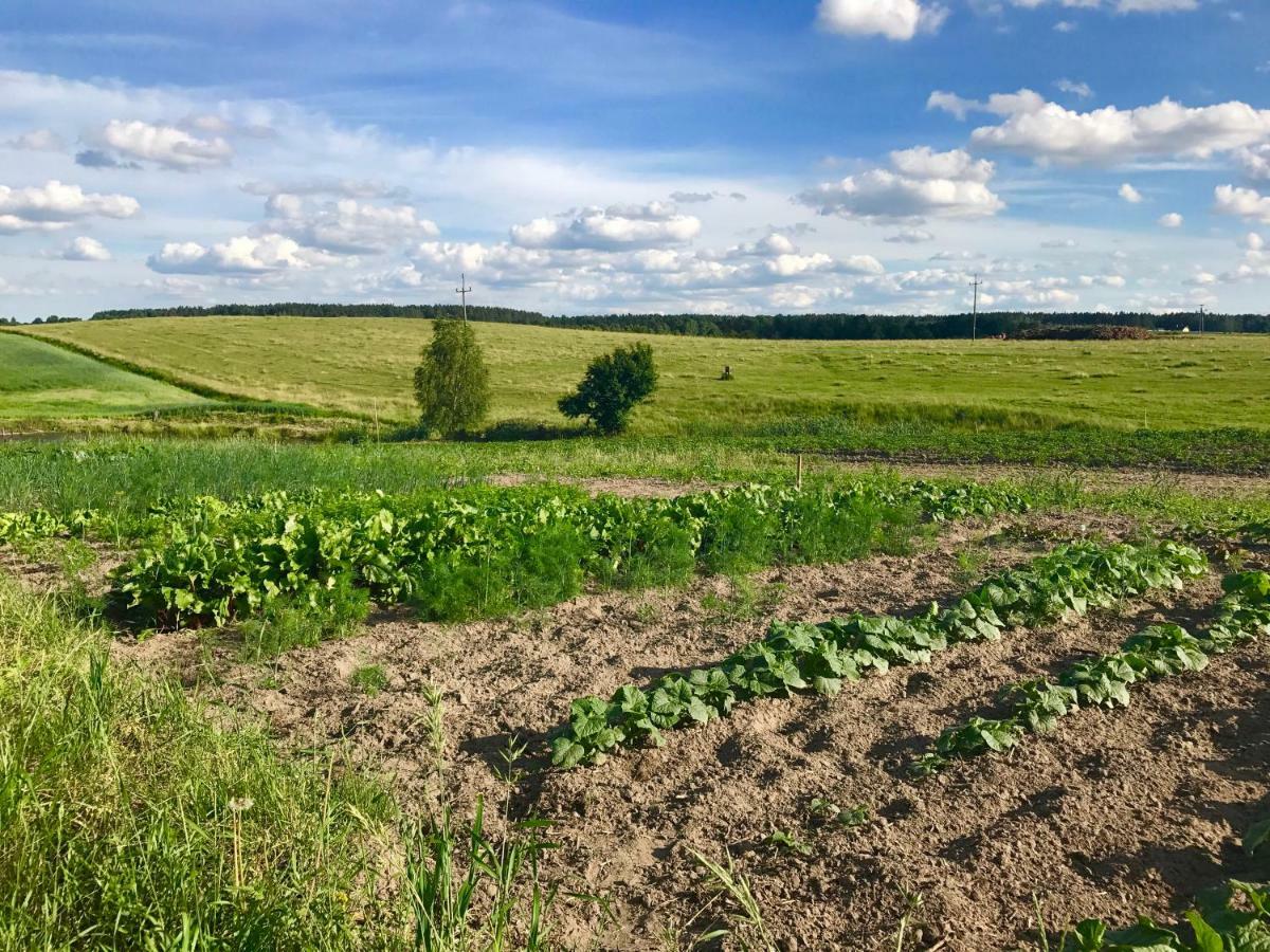 Agroturystyka Nad Jeziorem Silickim Ilinscy Silice Kültér fotó
